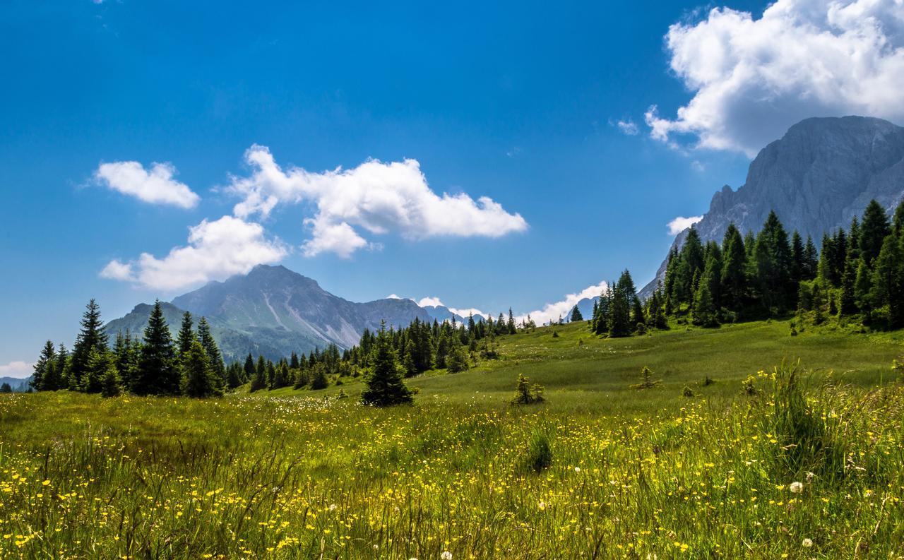 Residence Cavanis Wellness & Spa Sappada Εξωτερικό φωτογραφία